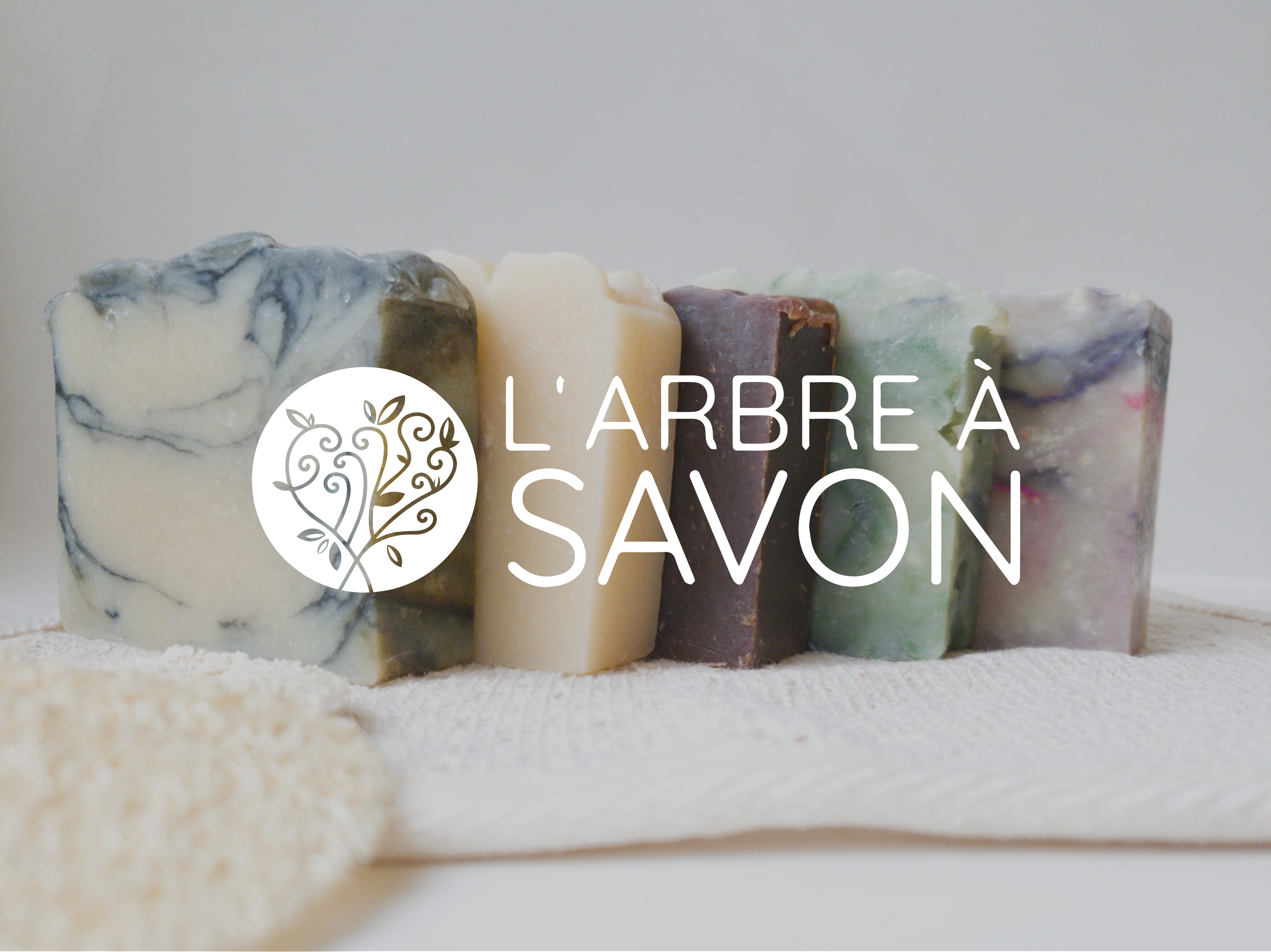 L’arbre à savon