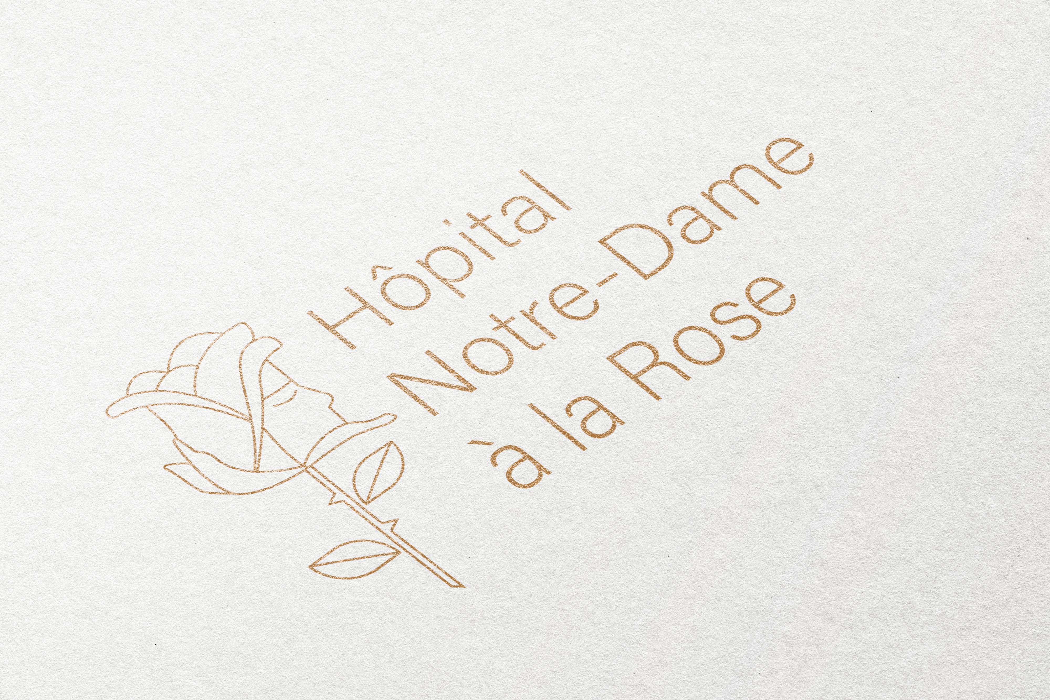 L’hôpital Notre-Dame à la Rose